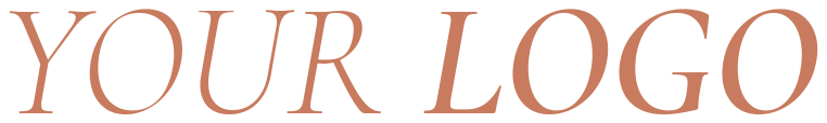 Logo professional website2